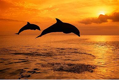 育碧低调公布《全境封锁3》 2代继续获支持