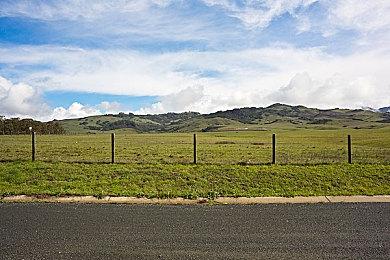 《黑道圣徒：重启版》现身Steam后台 预计8月发售